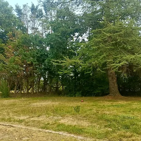 T1 Cosy Avec Jardin A 7 Min De L'aeroport, Proche De Nantes Apartament Saint-Aignan-Grand-Lieu