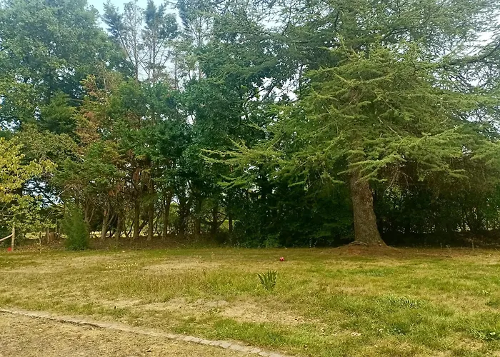 T1 Cosy Avec Jardin A 7 Min De L'aeroport, Proche De Nantes Appartement Saint-Aignan-Grand-Lieu